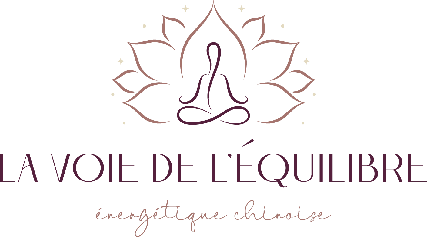 Logo La Voie De Liquilibre